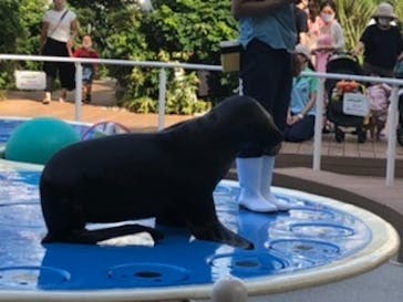 サンシャイン水族館に投稿された画像（2020/8/6）