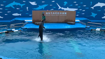 仙台うみの杜水族館に投稿された画像（2020/8/6）