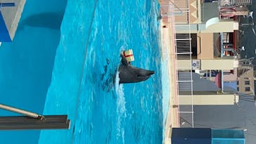 株式会社Gに投稿された画像（2020/8/6）