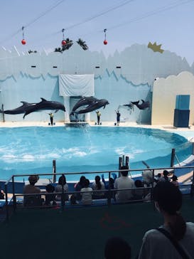 株式会社Gに投稿された画像（2020/8/6）