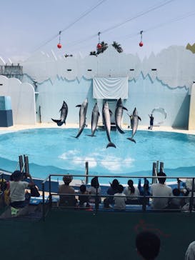 株式会社Gに投稿された画像（2020/8/6）