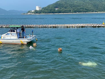ミキモト真珠島に投稿された画像（2020/8/6）