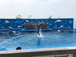 仙台うみの杜水族館に投稿された画像（2020/8/7）