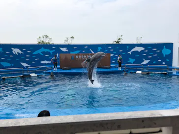 仙台うみの杜水族館に投稿された画像（2020/8/7）