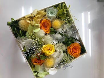 ずこうしつ〜sugamo〜に投稿された画像（2020/8/7）