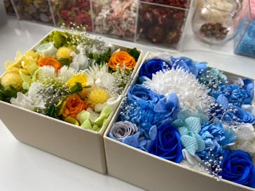 ずこうしつ〜sugamo〜に投稿された画像（2020/8/7）