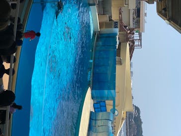 新江ノ島水族館に投稿された画像（2020/8/7）