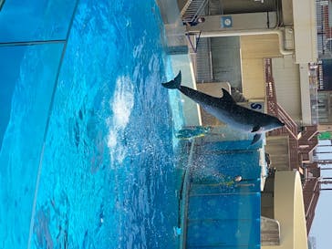 新江ノ島水族館に投稿された画像（2020/8/7）