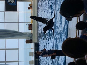 アクアワールド茨城県大洗水族館に投稿された画像（2020/8/7）