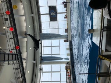 アクアワールド茨城県大洗水族館に投稿された画像（2020/8/7）