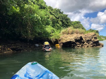 沖縄海うさぎ・海あしびに投稿された画像（2020/8/7）
