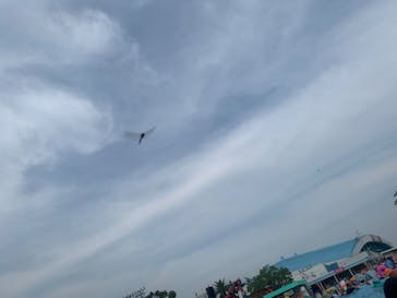 としまえんに投稿された画像（2020/8/7）