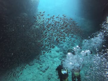 MalDive（モルダイブ）に投稿された画像（2020/8/7）