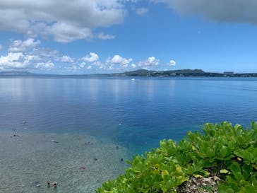 MalDive（モルダイブ）に投稿された画像（2020/8/7）