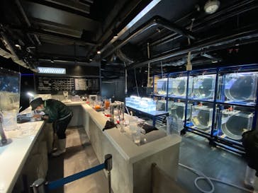 京都水族館に投稿された画像（2020/8/7）
