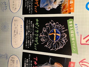 京都水族館に投稿された画像（2020/8/7）