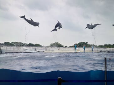 京都水族館に投稿された画像（2020/8/7）