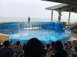 新江ノ島水族館に投稿された画像（2020/8/7）
