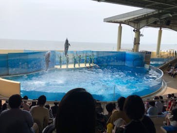 新江ノ島水族館に投稿された画像（2020/8/7）