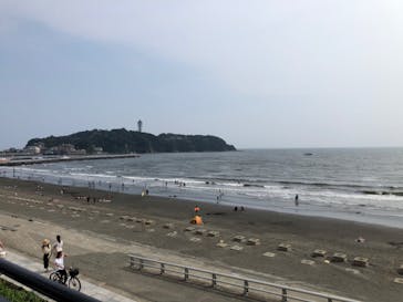 新江ノ島水族館に投稿された画像（2020/8/7）