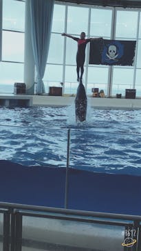 アクアワールド茨城県大洗水族館に投稿された画像（2020/8/7）