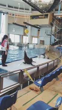 アクアワールド茨城県大洗水族館に投稿された画像（2020/8/7）