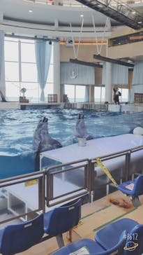 アクアワールド茨城県大洗水族館に投稿された画像（2020/8/7）