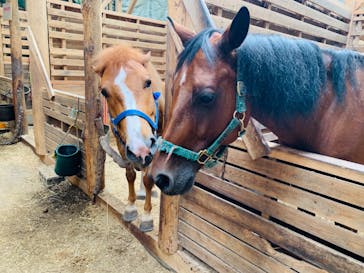 クリオステーブルに投稿された画像（2020/8/7）