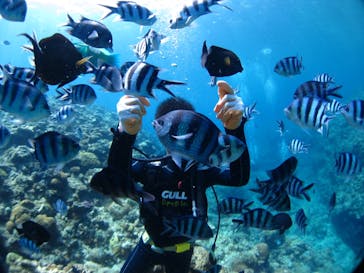 ドロップイン 沖縄に投稿された画像（2020/8/7）