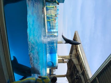 新江ノ島水族館に投稿された画像（2020/8/7）