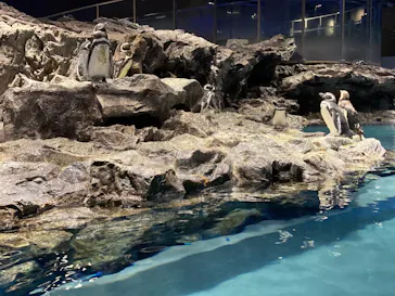 すみだ水族館に投稿された画像（2020/8/7）