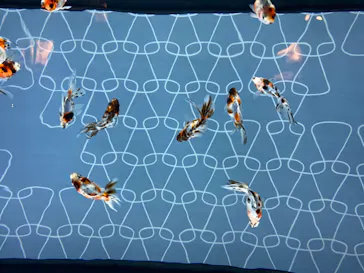 すみだ水族館に投稿された画像（2020/8/7）