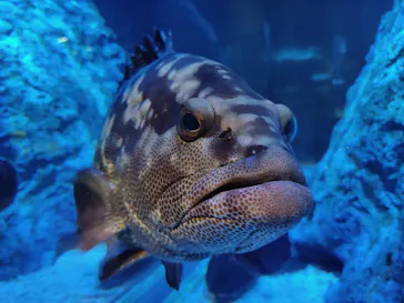 すみだ水族館に投稿された画像（2020/8/7）