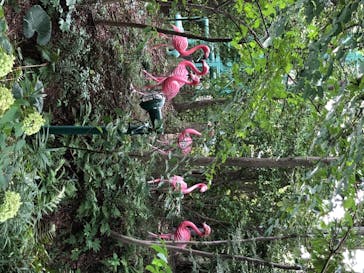 としまえんに投稿された画像（2020/8/7）