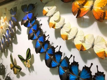 としまえんに投稿された画像（2020/8/7）