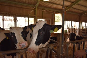 成田ゆめ牧場に投稿された画像（2020/8/7）