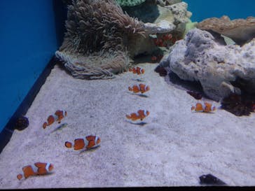 アクアワールド茨城県大洗水族館に投稿された画像（2020/8/7）