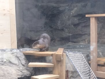 アクアワールド茨城県大洗水族館に投稿された画像（2020/8/7）