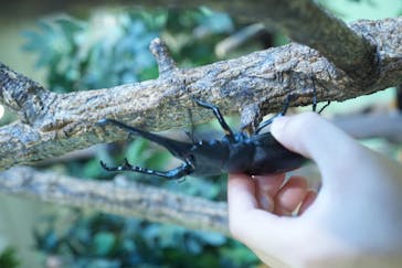 としまえんに投稿された画像（2020/8/7）