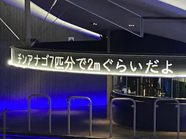 すみだ水族館に投稿された画像（2020/8/8）