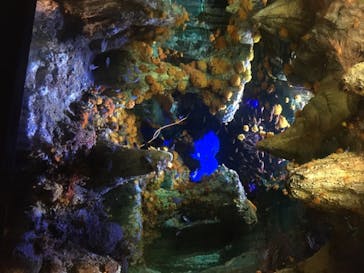 サンシャイン水族館に投稿された画像（2020/8/8）