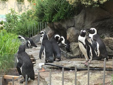 サンシャイン水族館に投稿された画像（2020/8/8）