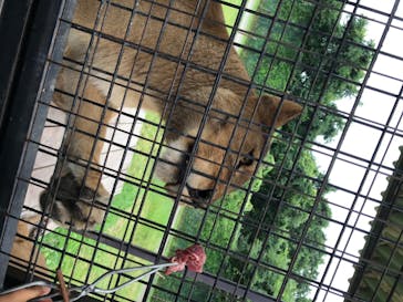 那須サファリパークに投稿された画像（2020/8/8）