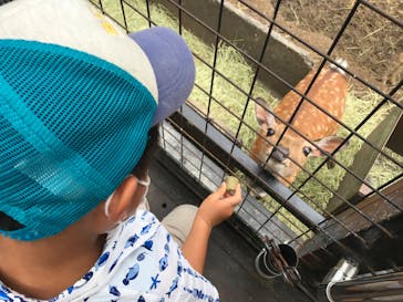 那須サファリパークに投稿された画像（2020/8/8）