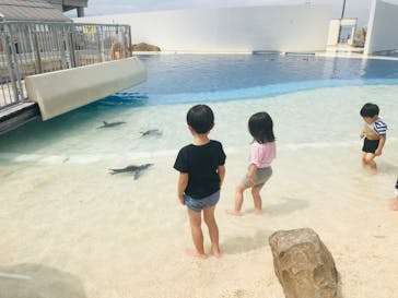大分マリーンパレス水族館 「うみたまご」に投稿された画像（2020/8/8）