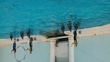 株式会社Gに投稿された画像（2020/8/8）