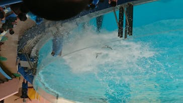 株式会社Gに投稿された画像（2020/8/8）