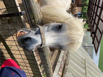 伊豆シャボテン動物公園に投稿された画像（2020/8/8）