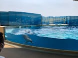 新江ノ島水族館に投稿された画像（2020/8/8）