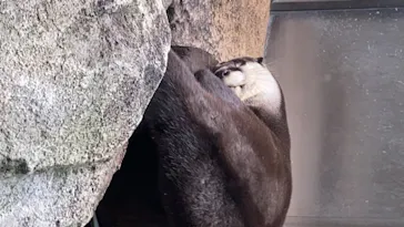 仙台うみの杜水族館に投稿された画像（2020/8/8）